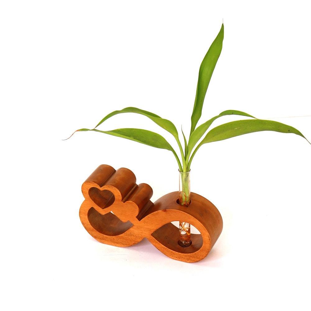 Table Top Wooden Test Tube Planter - Orbiz Creativez