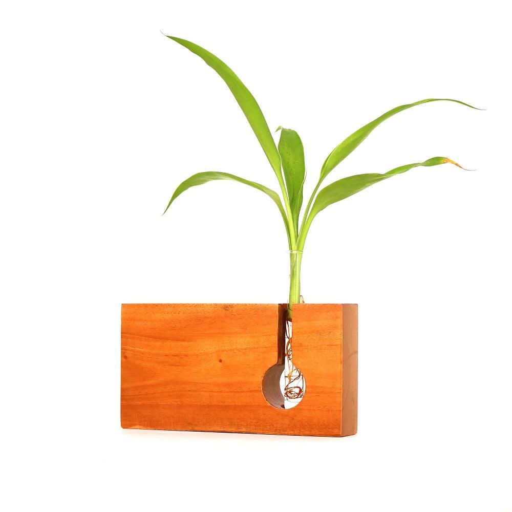 Rectangle Shape Wooden Test Tube Planter - Orbiz Creativez