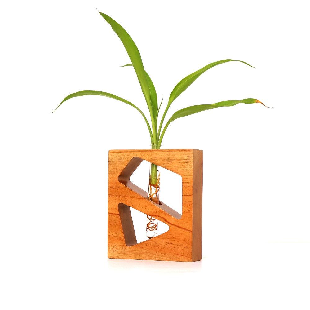Square Test Tube Planter - Orbiz Creativez