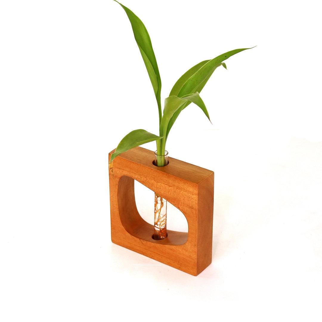 Square Wooden Test Tube Planter - Orbiz Creativez