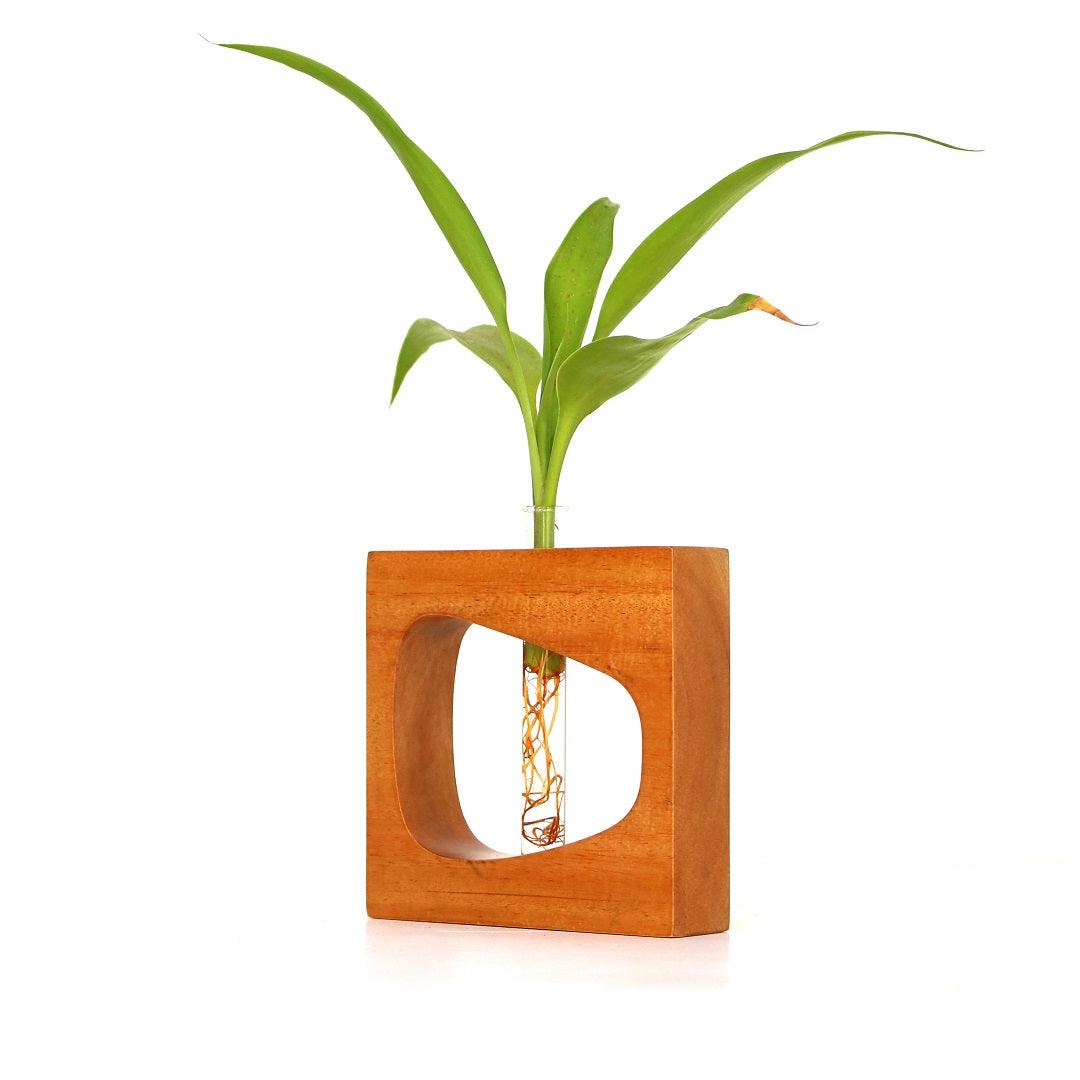 Square Wooden Test Tube Planter - Orbiz Creativez
