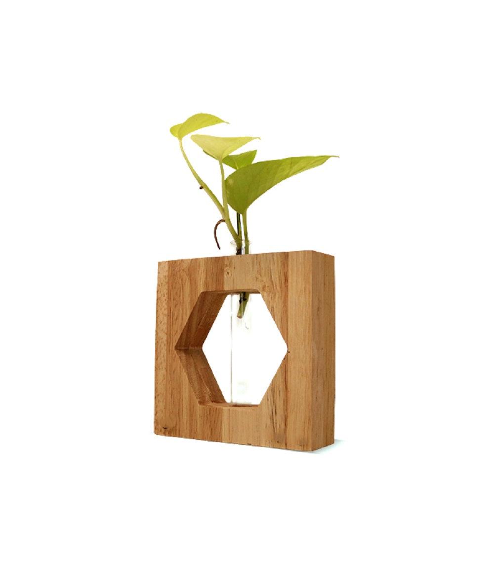 Wooden test tube  planter - Orbiz Creativez