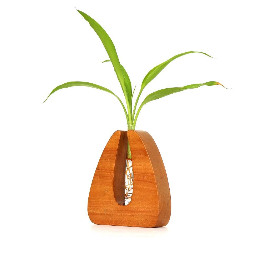 Wooden Test Tube  Planter - Orbiz Creativez