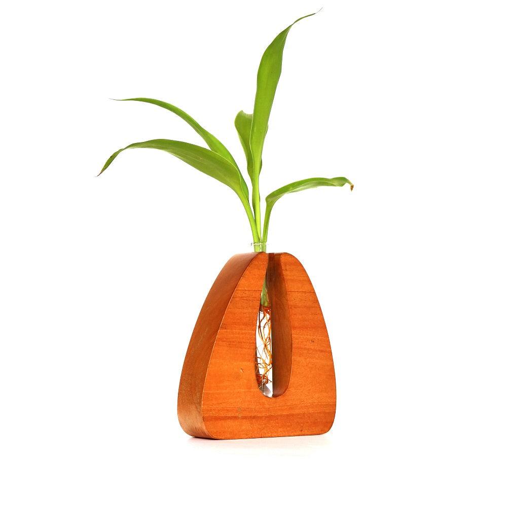 Wooden Test Tube  Planter - Orbiz Creativez