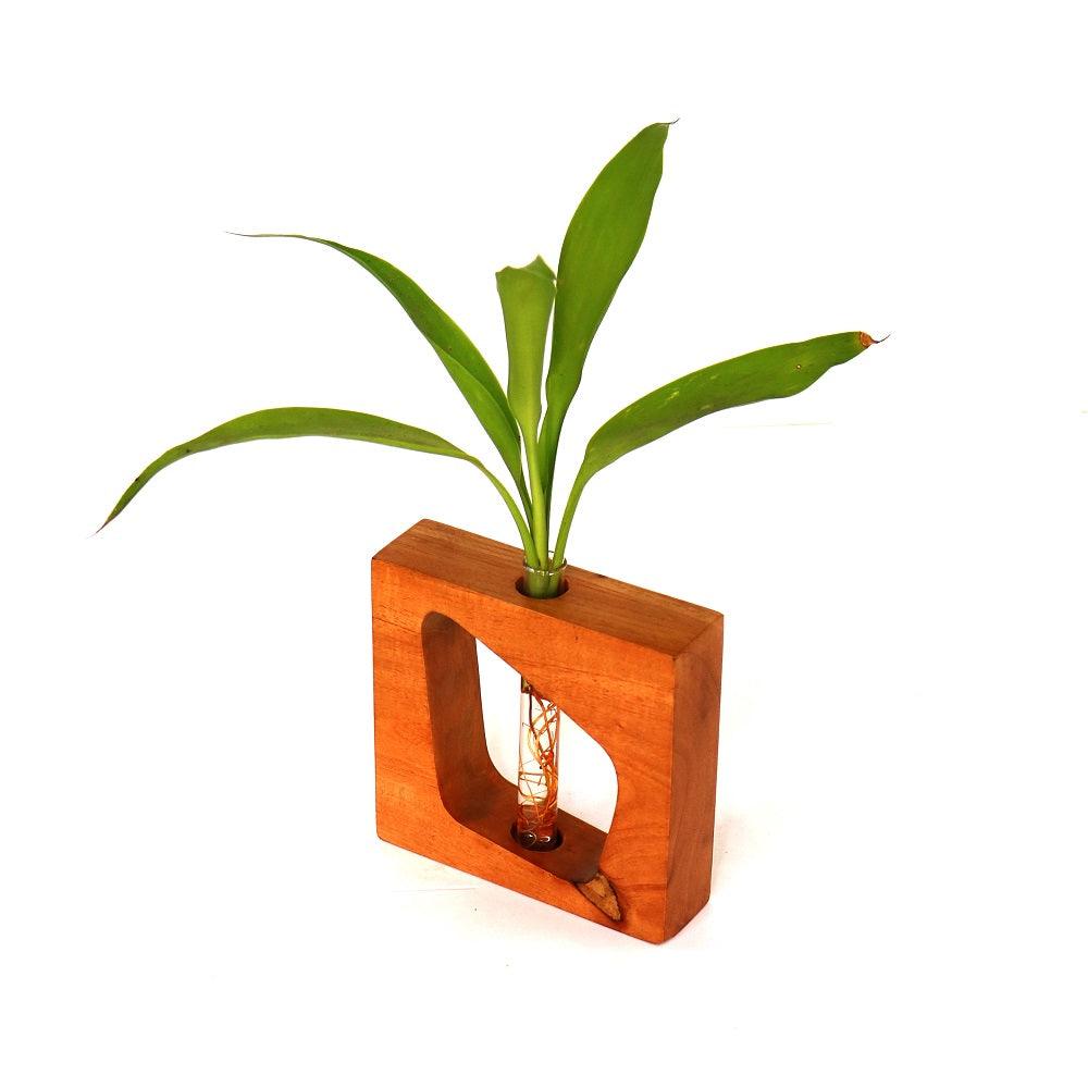 Square wooden test tube planter - Orbiz Creativez