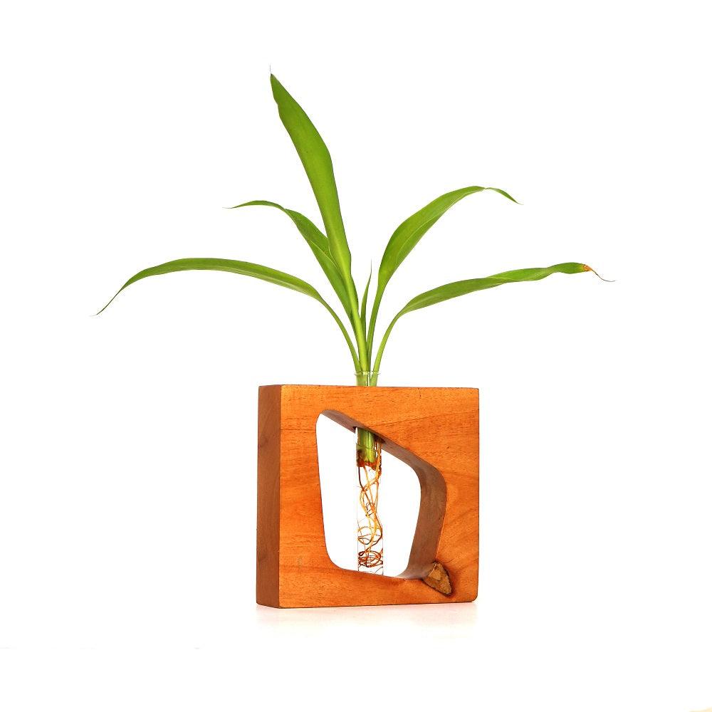 Square wooden test tube planter - Orbiz Creativez