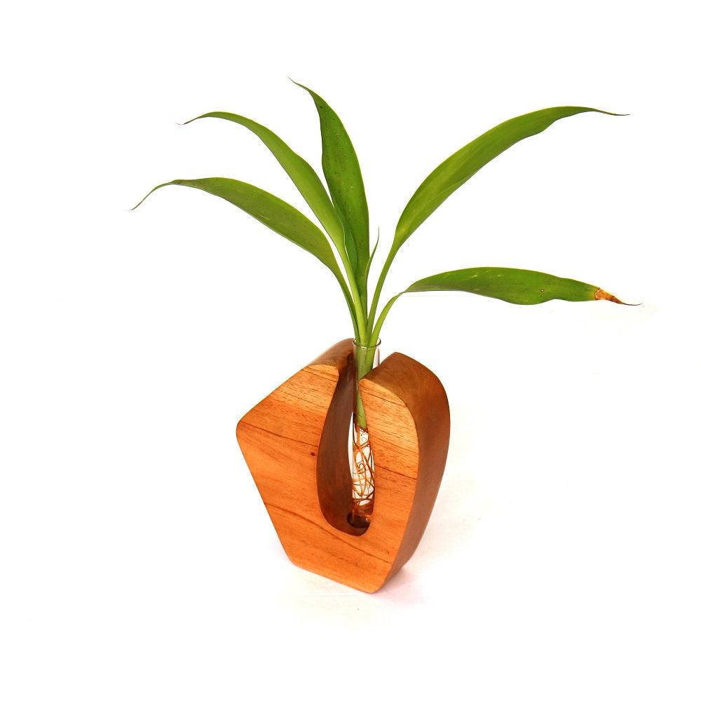 Wooden Test Tube Planter - Orbiz Creativez