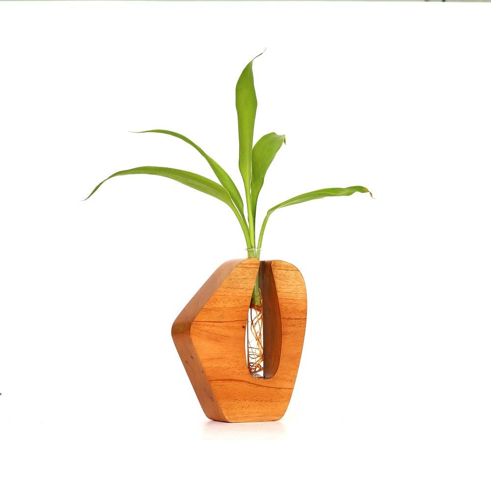Wooden Test Tube Planter - Orbiz Creativez