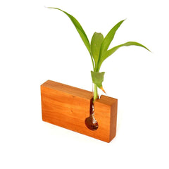 Rectangle Shape Wooden Test Tube Planter - Orbiz Creativez