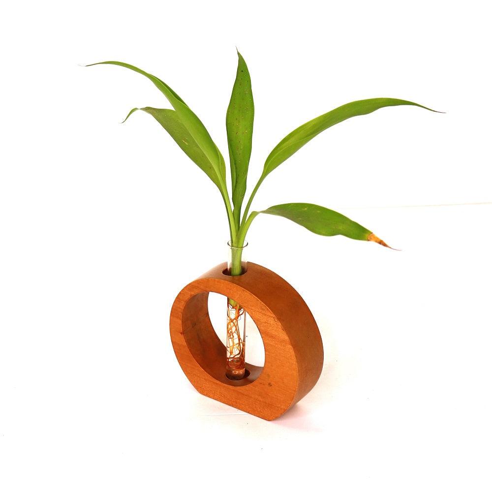 Circle Shape Wooden Test  Tube Planter - Orbiz Creativez