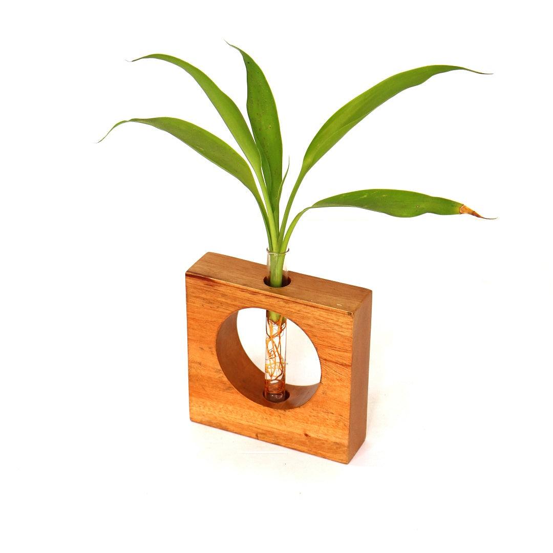 Hydroponics Test Tube Planter - Orbiz Creativez
