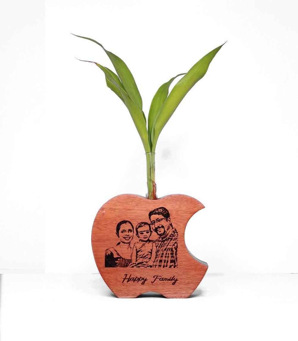 Apple Shape wooden Test Tube planter - Orbiz Creativez