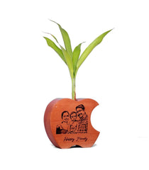 Apple Shape wooden Test Tube planter - Orbiz Creativez