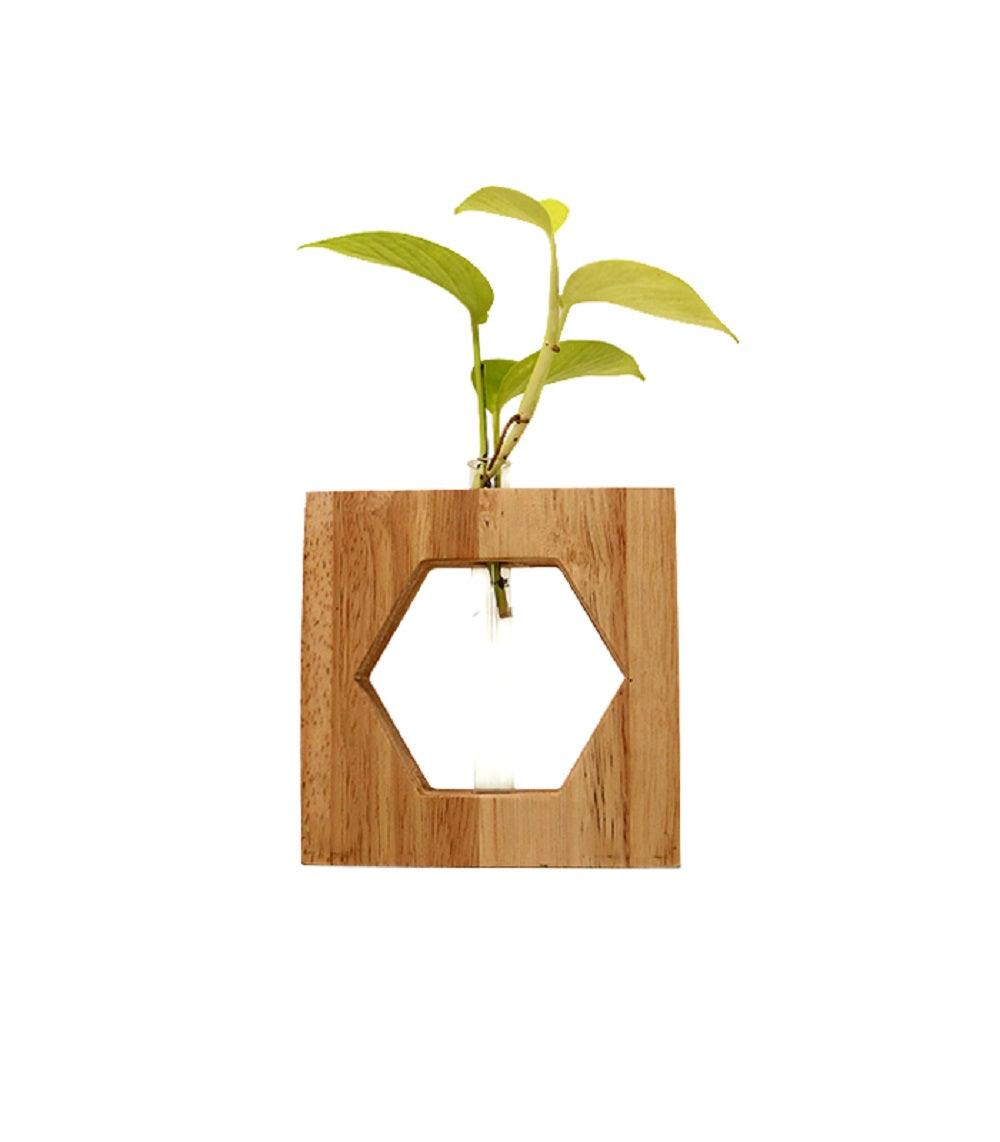 Wooden test tube  planter - Orbiz Creativez