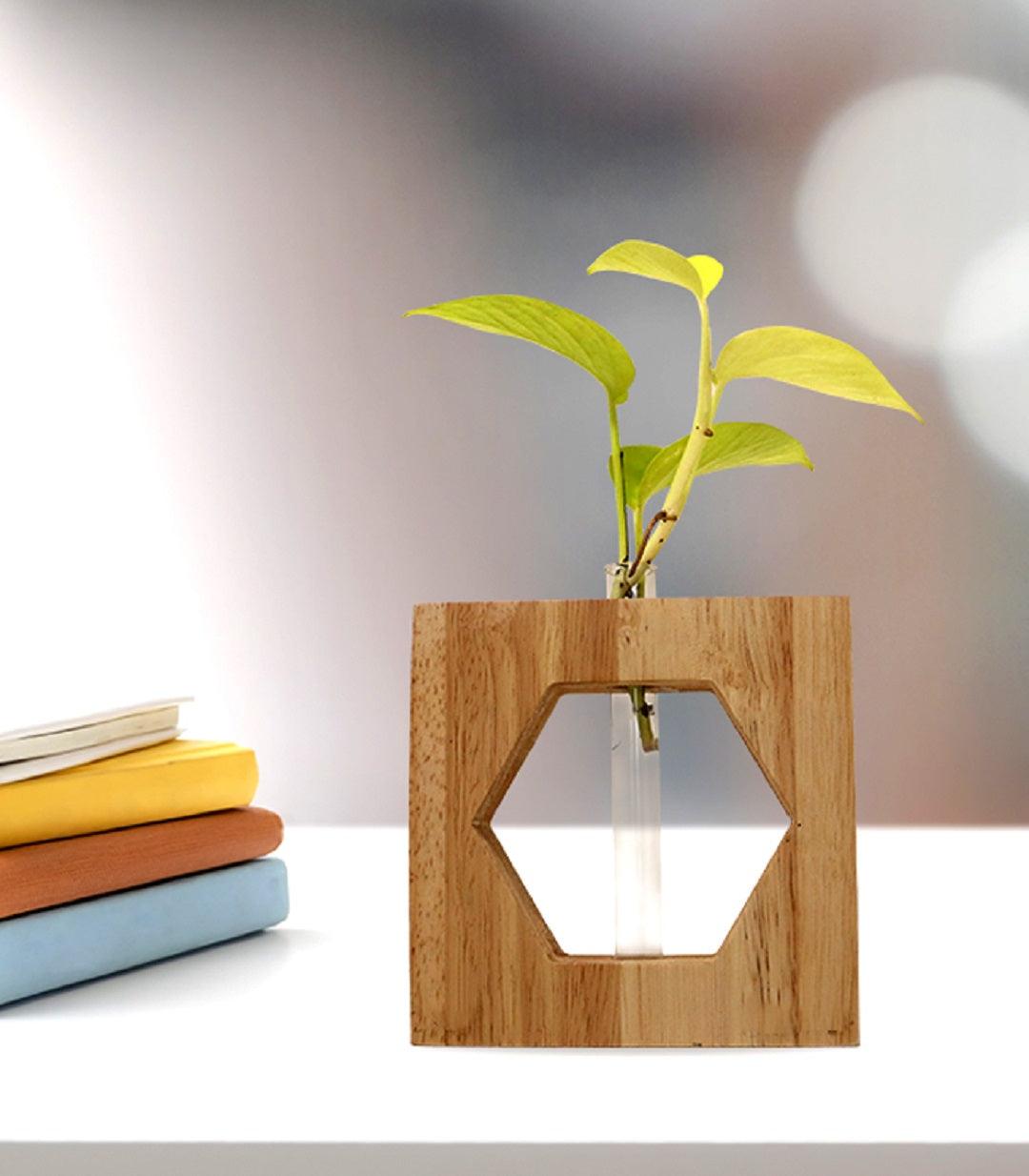 Wooden test tube  planter - Orbiz Creativez